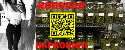 Альфа ПВП Малгобек