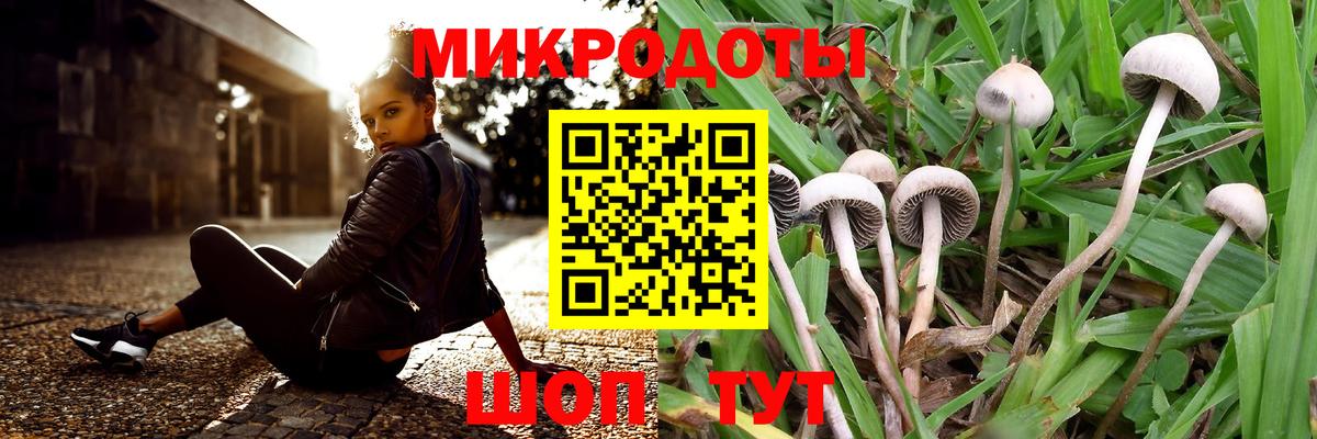 Псилоцибиновые грибы Magic Shrooms Азнакаево