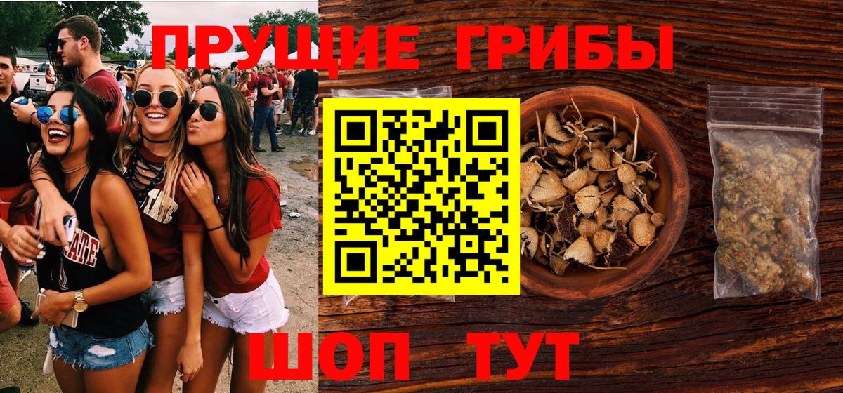 Азнакаево  Галлюциногенные грибы Cubensis  Вход с VPN 